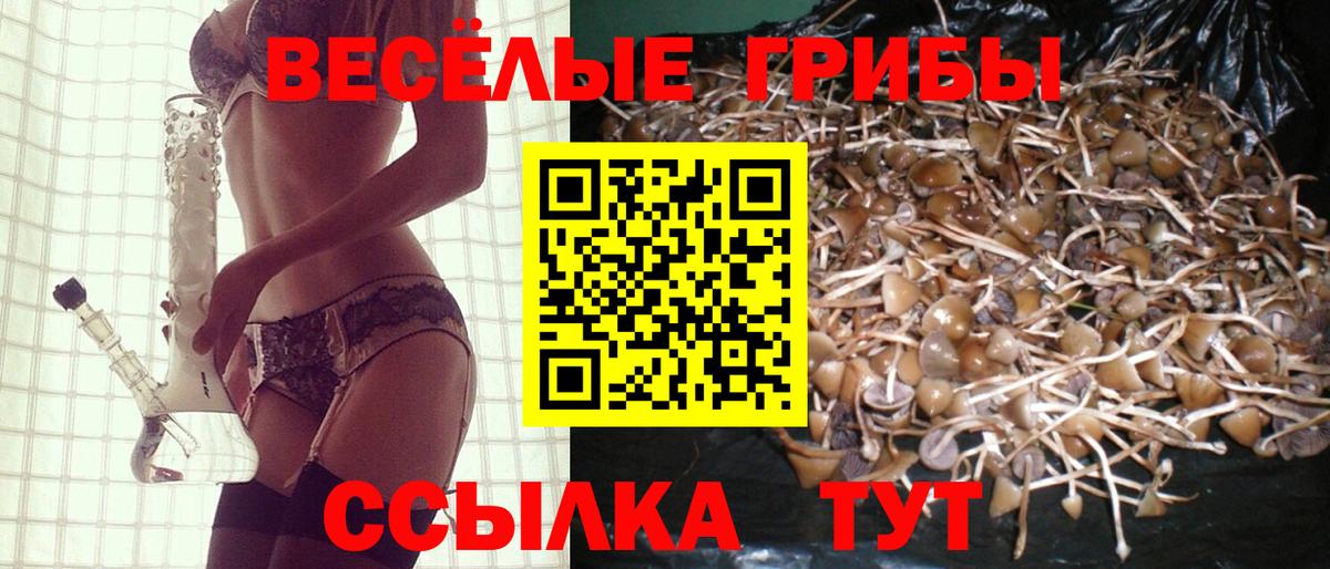 Галлюциногенные грибы мицелий  Вход с VPN  Галлюциногенные грибы мицелий  Зеленодольск 