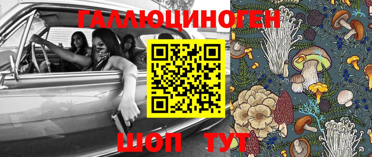 Псилоцибиновые грибы MAGIC MUSHROOMS Зеленодольск